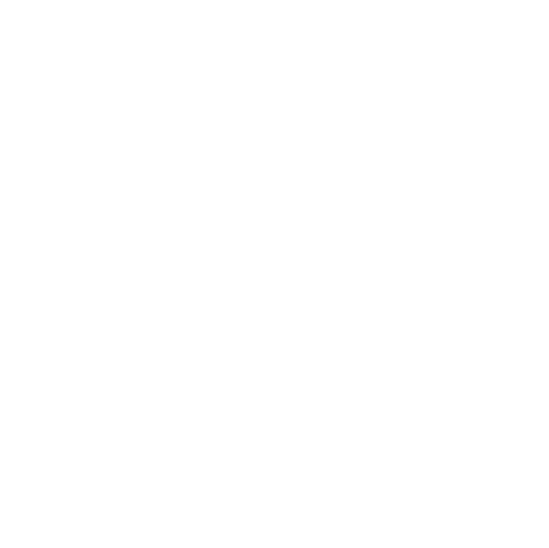 North Shore Youth Triathlon logo